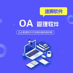 北京定制OA辦公系統(tǒng)推薦 速獅軟件，全程貼心無憂服務